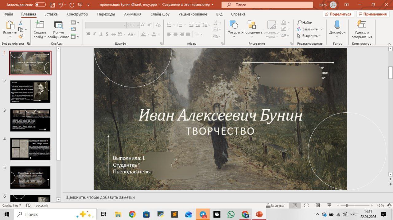 Презентация по литературе