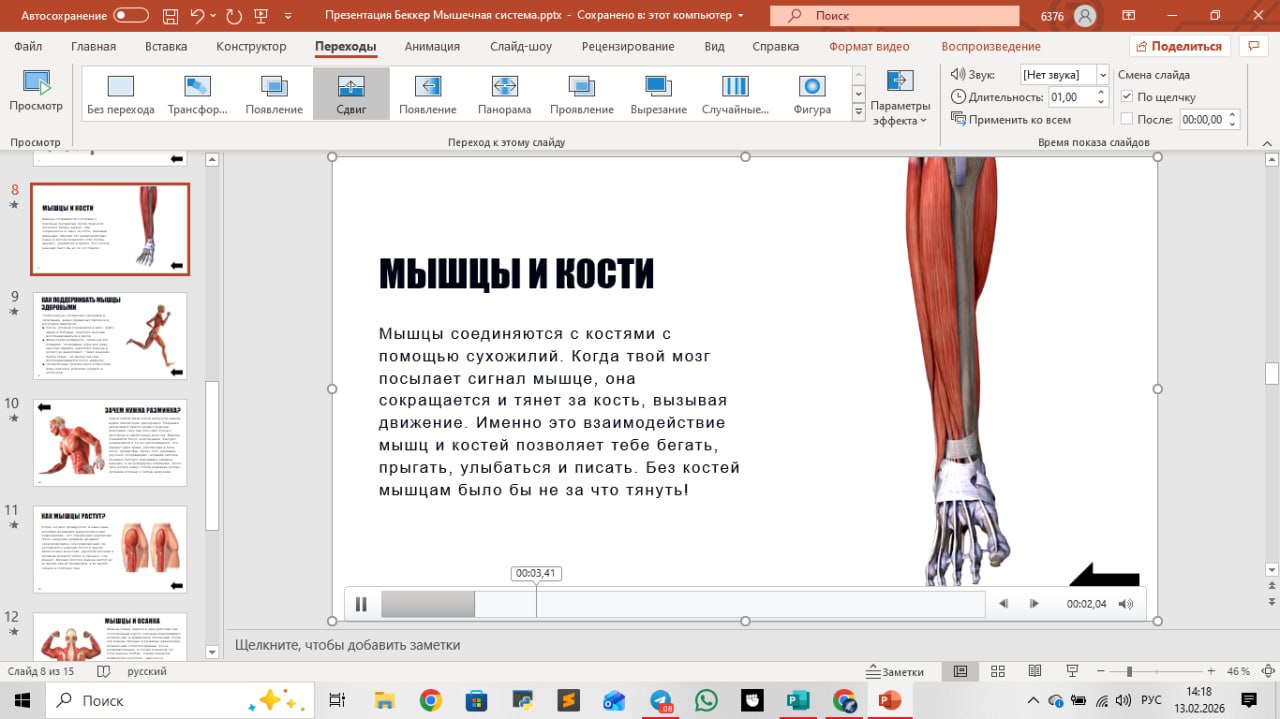 Презентация на конкурс по анатомии с видео фрагментами