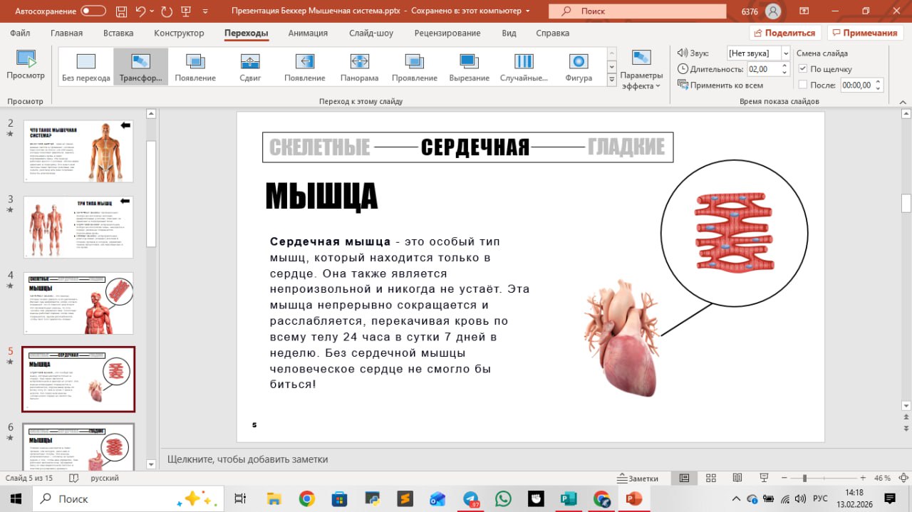 Презентация на конкурс по анатомии с видео фрагментами