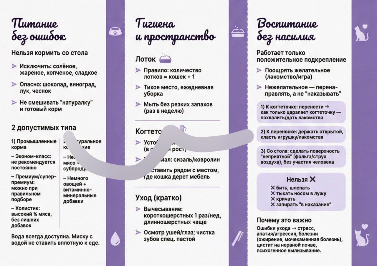 Буклет к ИП