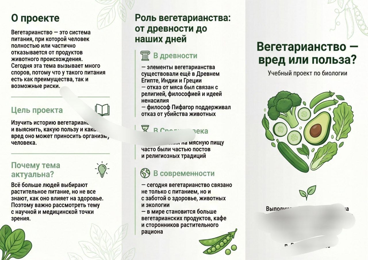 Буклет к ИП
