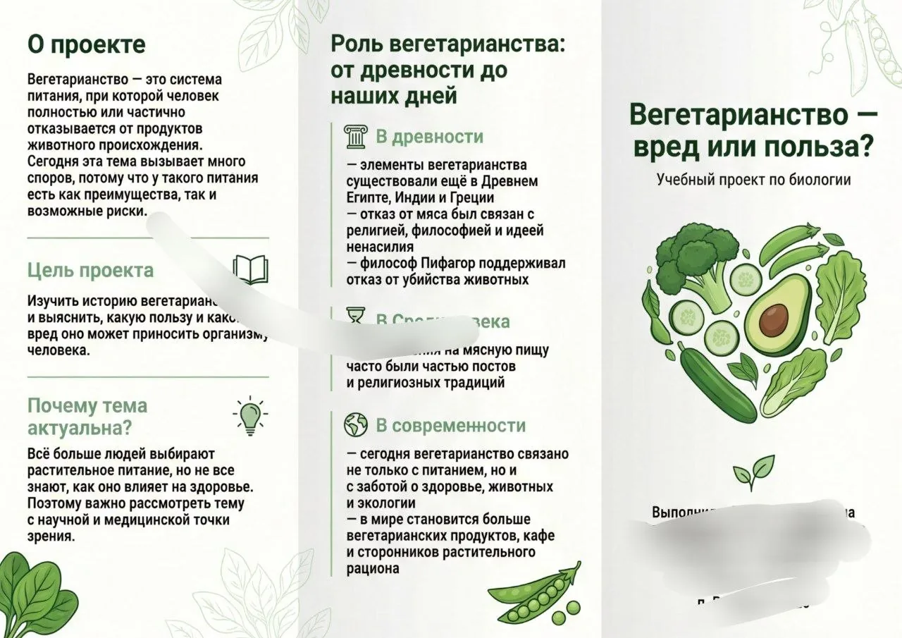 Буклет к ИП